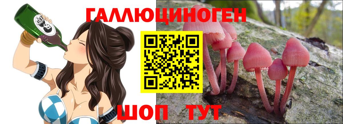 Галлюциногенные грибы мухоморы Минеральные Воды